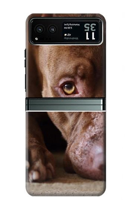 S0519 PitBull Face Case For Motorola Razr 40