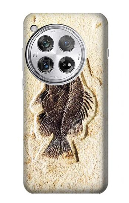 S2562 Fossil Fish Case For OnePlus 12
