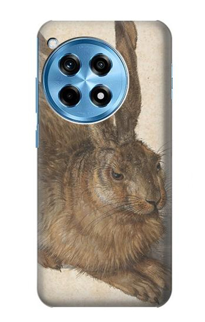 S3781 Albrecht Durer Young Hare Case For OnePlus 12R