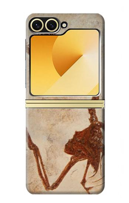 S0379 Dinosaur Fossil Case For Samsung Galaxy Z Flip 6