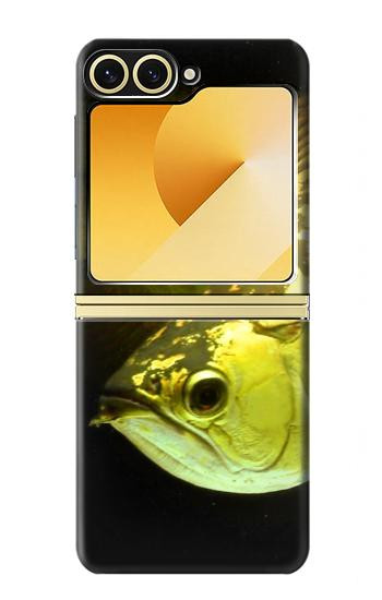 S1021 Gold Arowana Fish Case For Samsung Galaxy Z Flip 6, Flip 7 FE