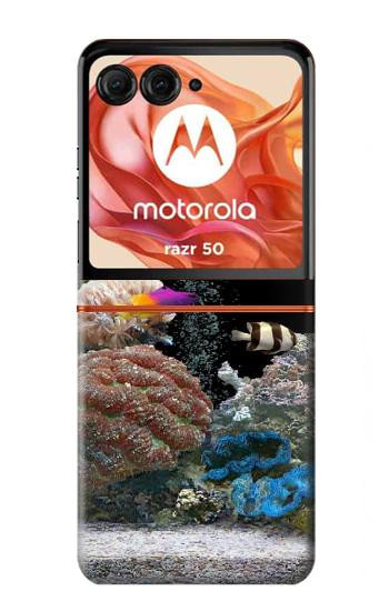 S0226 Aquarium Case For Motorola Razr 70,60,50, Razr (2026, 2025, 2024)