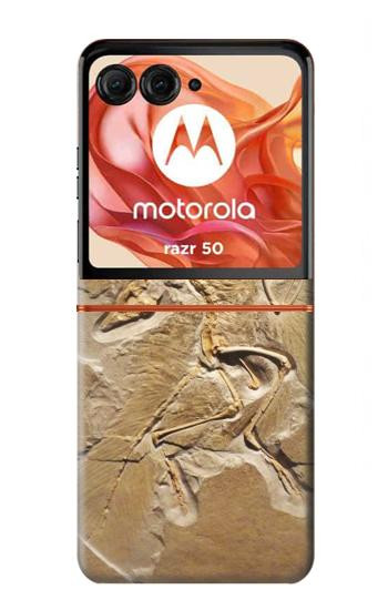 S0380 Dinosaur Fossil Case For Motorola Razr 70,60,50, Razr (2026, 2025, 2024)