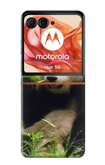 S1073 Panda Enjoy Eating Case For Motorola Razr 70,60,50, Razr (2026, 2025, 2024)
