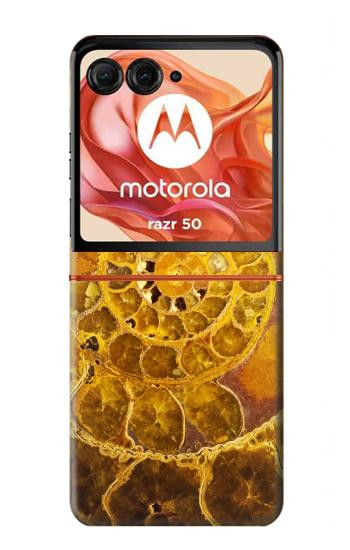 S1789 Ammonite Fossils Case For Motorola Razr 70,60,50, Razr (2026, 2025, 2024)
