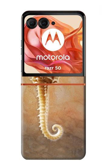 S2674 Seahorse Skeleton Fossil Case For Motorola Razr 70,60,50, Razr (2026, 2025, 2024)