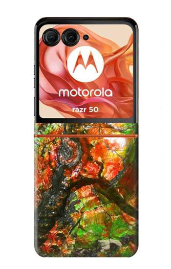S2694 Ammonite Fossil Case For Motorola Razr 70,60,50, Razr (2026, 2025, 2024)