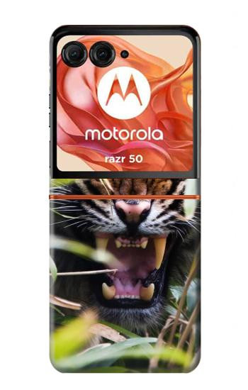 S3838 Barking Bengal Tiger Case For Motorola Razr 70,60,50, Razr (2026, 2025, 2024)