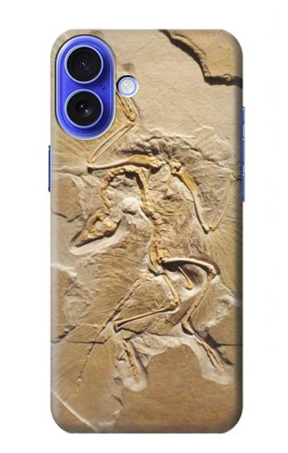 S0380 Dinosaur Fossil Case For iPhone 16