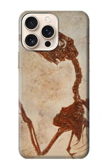 S0379 Dinosaur Fossil Case For iPhone 16 pro max