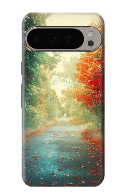 S0913 Road Through The Woods Case For Google Pixel 9 Pro XL