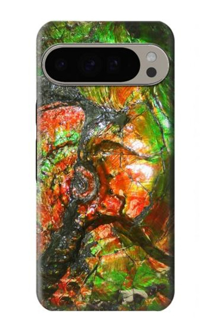 S2694 Ammonite Fossil Case For Google Pixel 9 Pro XL