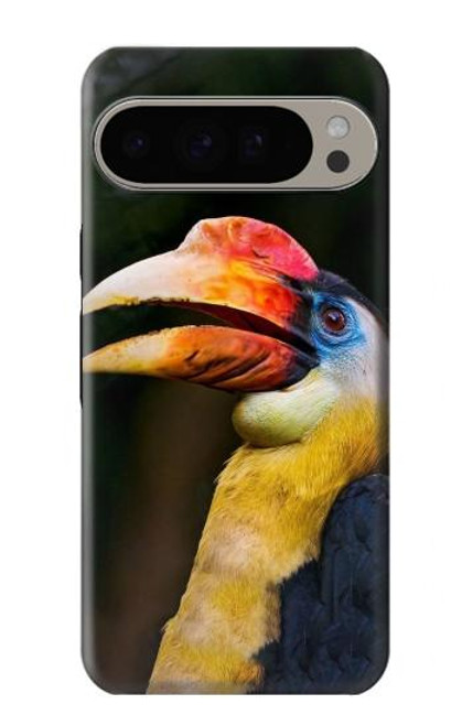 S3876 Colorful Hornbill Case For Google Pixel 9 Pro XL