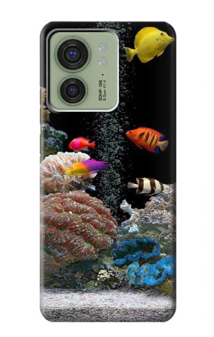 S0226 Aquarium Case For Motorola Edge (2023), Edge 40