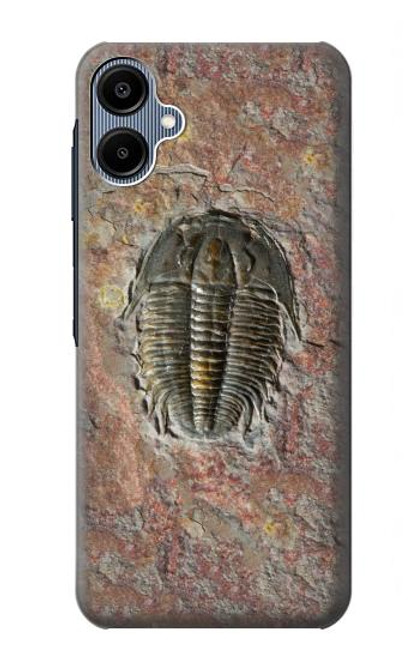 S1454 Trilobite Fossil Case For Samsung Galaxy A06