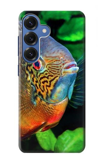 S1812 Cichlid Fish Case For Samsung Galaxy S25 S1812 Cichlid Fish Case For Samsung Galaxy S25