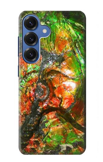 S2694 Ammonite Fossil Case For Samsung Galaxy S25