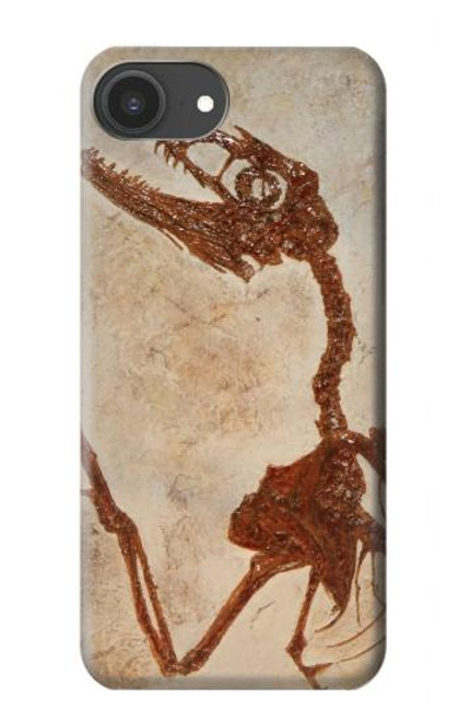 S0379 Dinosaur Fossil Case For iPhone 16e