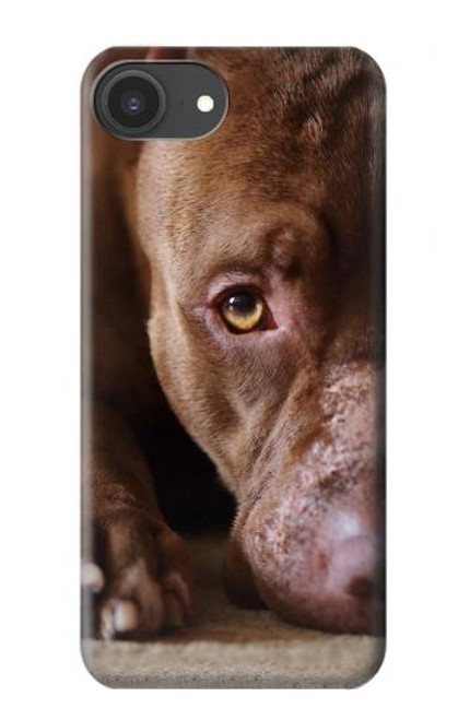 S0519 PitBull Face Case For iPhone 16e