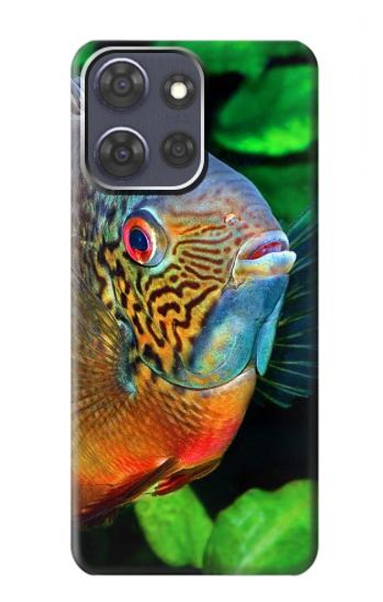 S1812 Cichlid Fish Case For Motorola Moto G Power (2025)