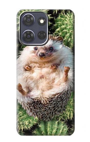 S3863 Pygmy Hedgehog Dwarf Hedgehog Paint Case For Motorola Moto G Power (2025,2026)