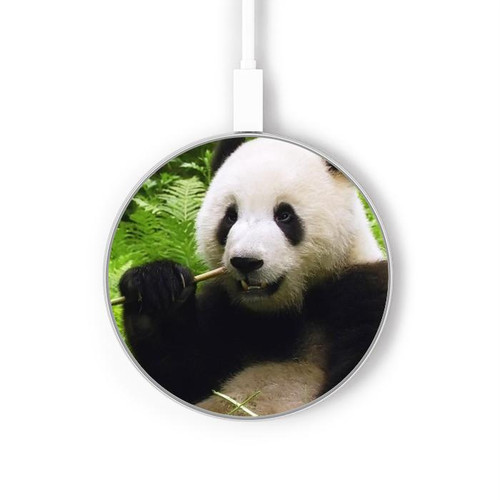 S1073 Panda Enjoy Eating Wireless Charger Pad 15W Type-C iPhone Android LED Light Charging Station