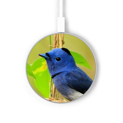 S3839 Bluebird of Happiness Blue Bird Wireless Charger Pad 15W Type-C iPhone Android LED Light Charging Station