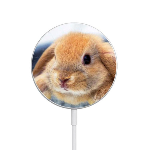 S0242 Cute Rabbit Magnetic Wireless Charger Pad with MagSafe 15W for iPhone 16 15 14 13 12