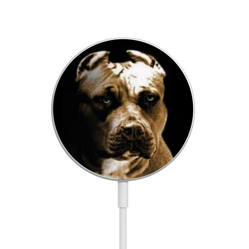 S0520 PitBull Magnetic Wireless Charger Pad with MagSafe 15W for iPhone 16 15 14 13 12
