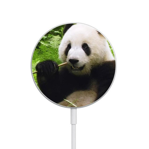 S1073 Panda Enjoy Eating Magnetic Wireless Charger Pad with MagSafe 15W for iPhone 16 15 14 13 12