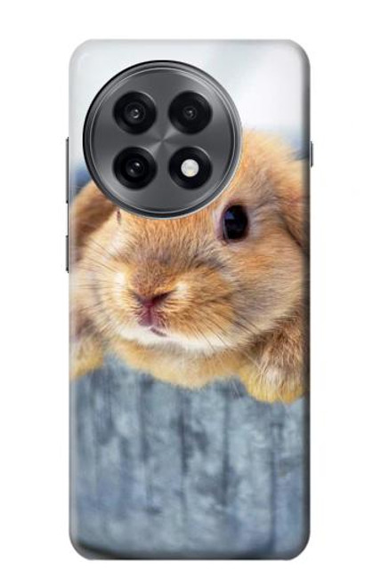 S0242 Cute Rabbit Case For OnePlus 13R