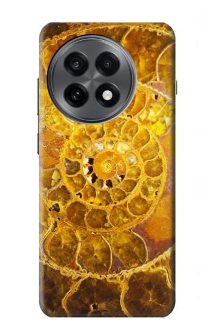 S1789 Ammonite Fossils Case For OnePlus 13R