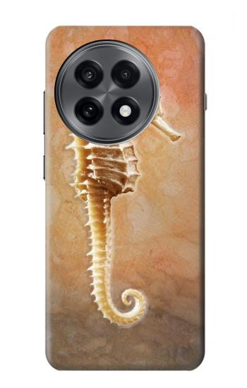 S2674 Seahorse Skeleton Fossil Case For OnePlus 13R