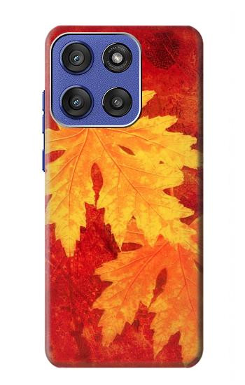 S0479 Maple Leaf Case For Motorola Moto G Stylus 5G (2025,2026), Edge 60 Stylus