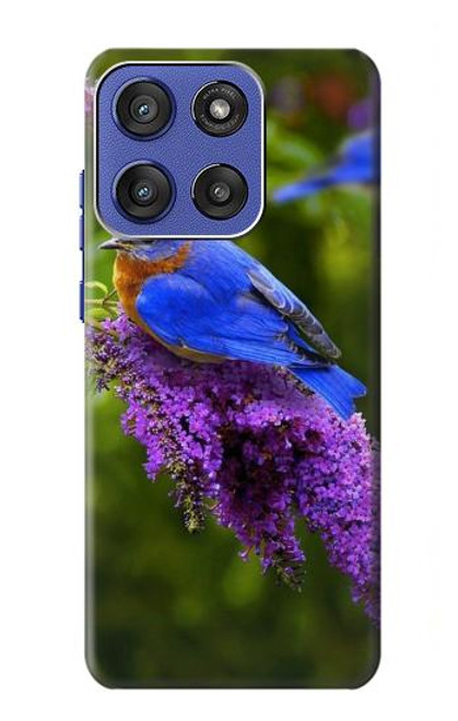 S1565 Bluebird of Happiness Blue Bird Case For Motorola Moto G Stylus 5G (2025), Edge 60 Stylus