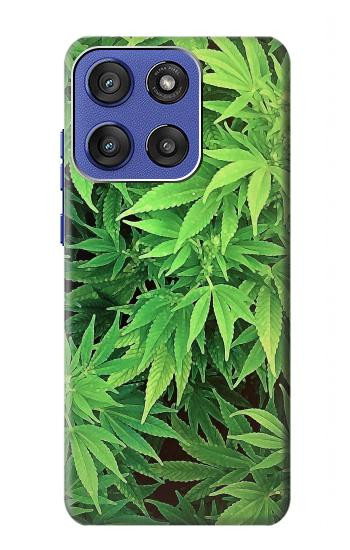 S1656 Marijuana Plant Case For Motorola Moto G Stylus 5G (2025,2026), Edge 60 Stylus