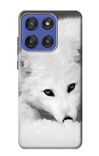 S2569 White Arctic Fox Case For Motorola Moto G Stylus 5G (2025), Edge 60 Stylus