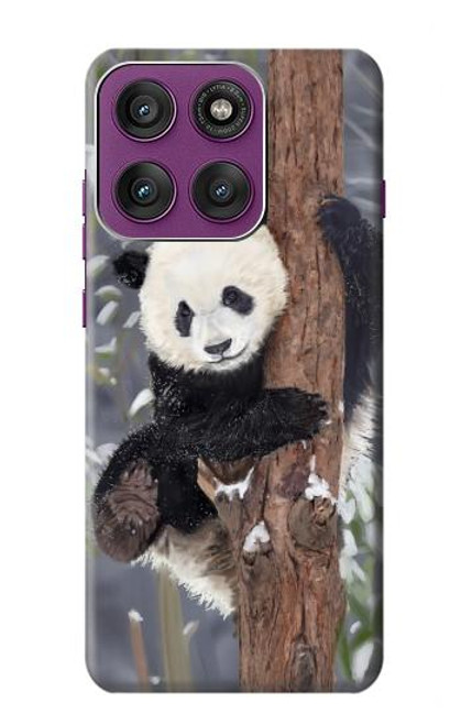 S3793 Cute Baby Panda Snow Painting Case For Motorola Edge 60 Pro