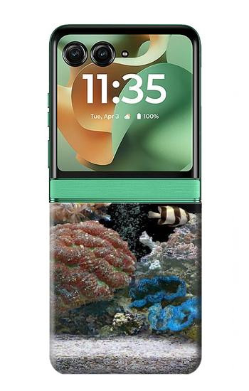 S0226 Aquarium Case For Motorola Razr 70+,60+, Razr+ (2026, 2025, 2024)