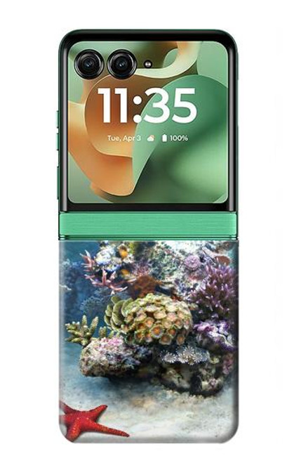 S0227 Aquarium Case For Motorola Razr 60, Razr 2025