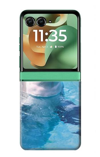 S1291 Dolphin Case For Motorola Razr 70+,60+, Razr+ (2026, 2025, 2024)