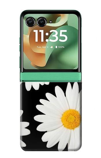 S2477 Daisy flower Case For Motorola Razr 70+,60+, Razr+ (2026, 2025, 2024)