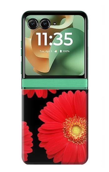 S2478 Red Daisy flower Case For Motorola Razr 70+,60+, Razr+ (2026, 2025, 2024)