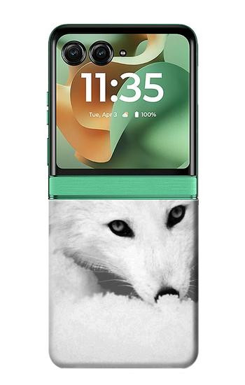 S2569 White Arctic Fox Case For Motorola Razr 70+,60+, Razr+ (2026, 2025, 2024)