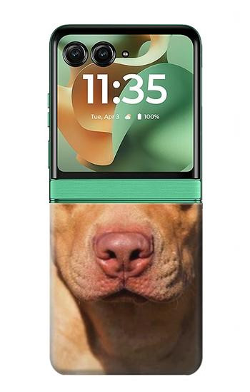 S2903 American Pitbull Dog Case For Motorola Razr 70+,60+, Razr+ (2026, 2025, 2024)