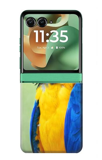 S3888 Macaw Face Bird Case For Motorola Razr 70+,60+, Razr+ (2026, 2025, 2024)