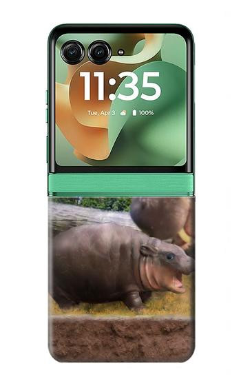 S4031 Baby Hippo Hippopotamus Family Case For Motorola Razr 70+,60+, Razr+ (2026, 2025, 2024)