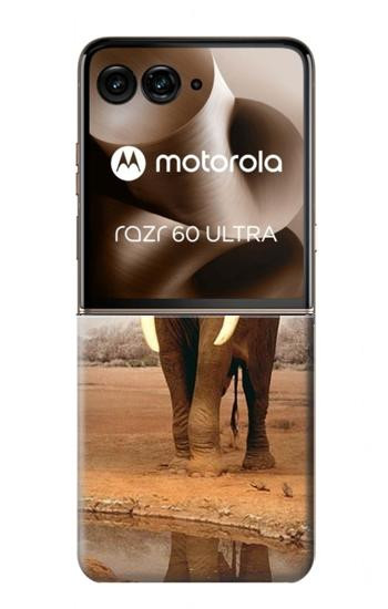 S0310 African Elephant Case For Motorola Razr 70 Ultra, 60 Ultra, 50 Ultra, Ultra 2026, Ultra 2025
