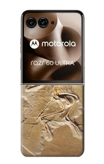 S0380 Dinosaur Fossil Case For Motorola Razr 70 Ultra, 60 Ultra, 50 Ultra, Ultra 2026, Ultra 2025