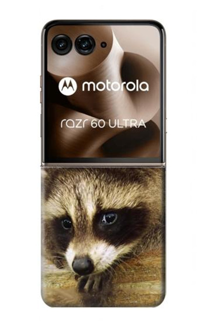 S0977 Baby Raccoons Case For Motorola Razr 60 Ultra, Razr Ultra 2025
